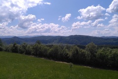IMG_20190602_145902