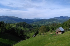 IMG_20190604_171426