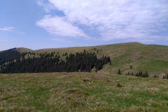 IMG_20190607_151241