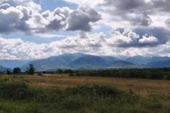 IMG_20250719_103356