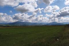 IMG_20250719_103425