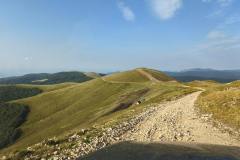 IMG_20250722_083441