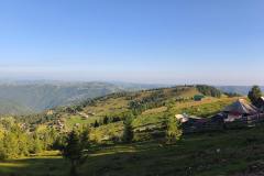 IMG_20250811_084041