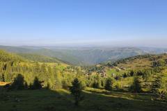 IMG_20250811_084054